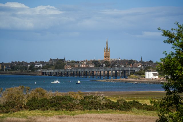 Montrose Basin Nature Reserve